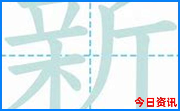 九龙网站免费资料大全